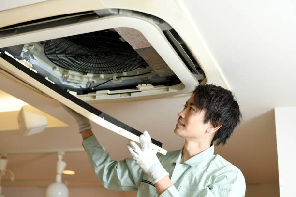 Best Air Vent Cleaning Services  in Holden Heights, FL