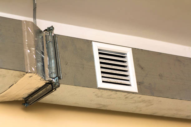 Best Ductwork Cleaning Services  in Holden Heights, FL